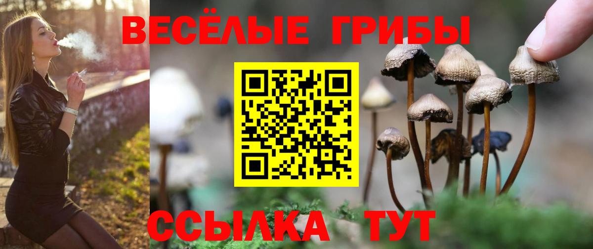 Псилоцибиновые грибы ЛСД  наркотики  Мелеуз  Вход с VPN 