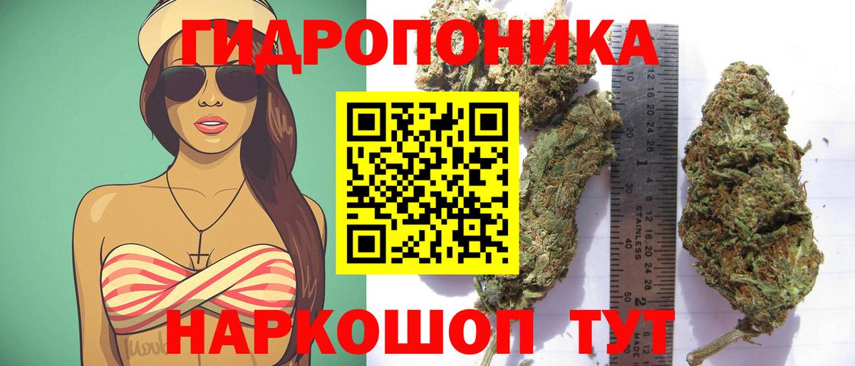Каннабис сатива Мелеуз